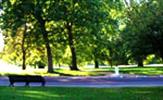 Park ve Çevre