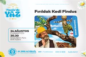 Fırıldak Kedi Findus