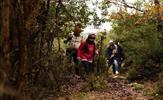 Tuzla Belediyesi, ilçede yaşayan doğaseverlere özel her ay farklı bir rotada trekking etkinliği düzenliyor. 