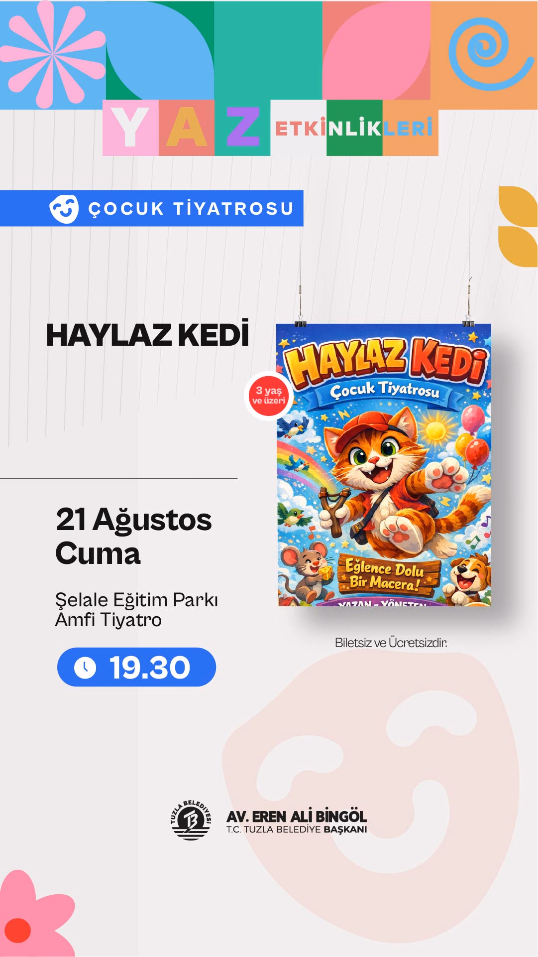 Haylaz Kedi