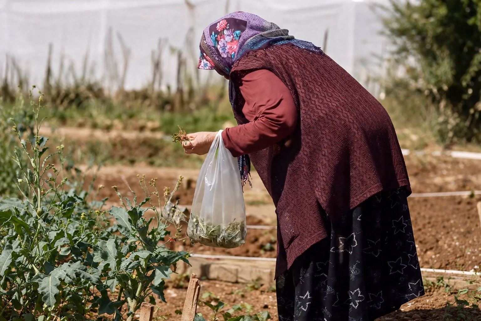 Sağlıklı Yaş Alma Merkezi kursiyerleri toprakla buluştu - Görsel 3