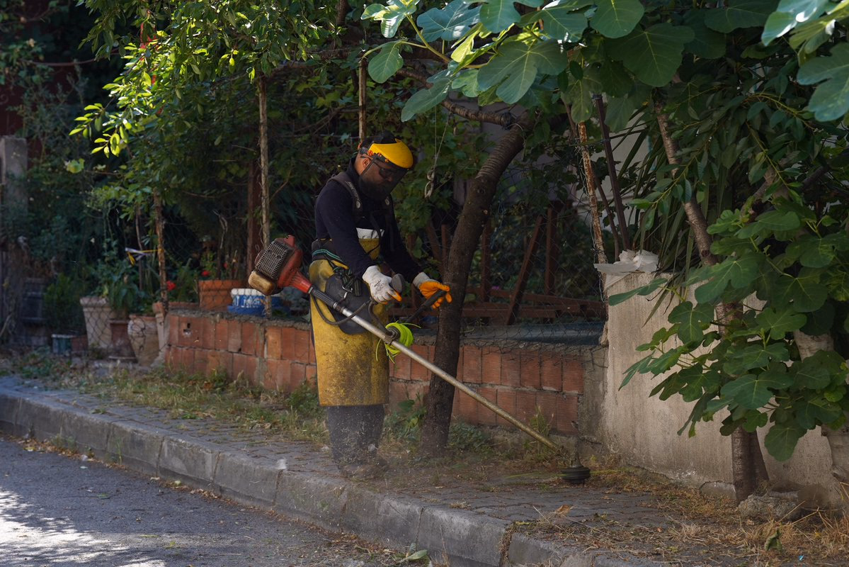 Tuzla Belediyesi'nden yaz döneminde kapsamlı ot biçme çalışması - Görsel 4