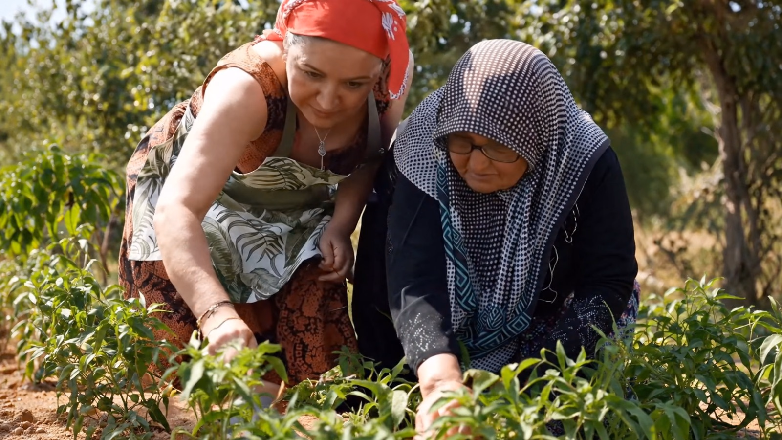 Sağlıklı Yaş Alma Merkezi kursiyerleri toprakla buluştu - Görsel 4