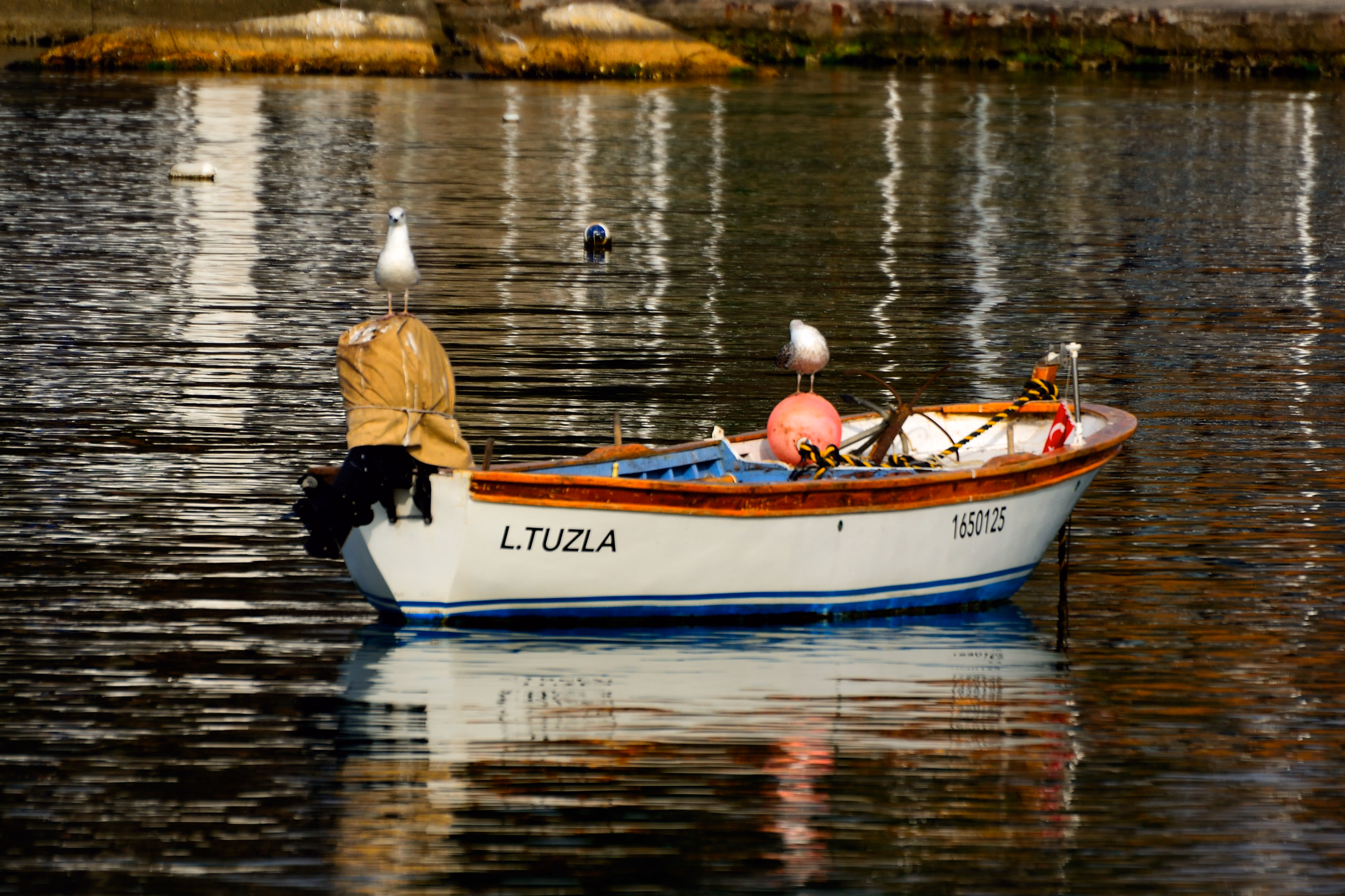 Tuzla