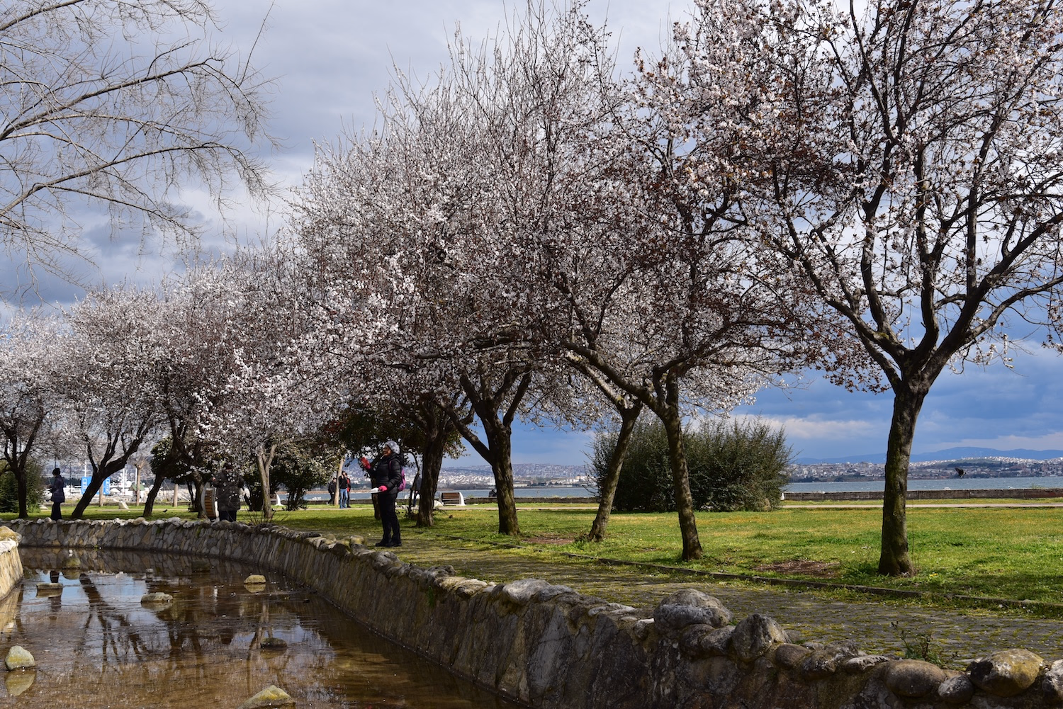 Cami Mahallesi - 16