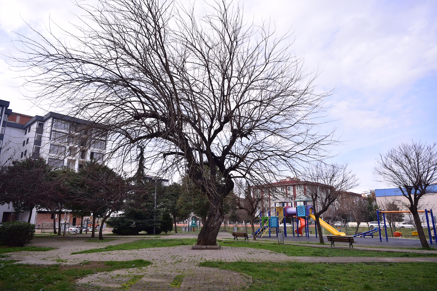 Yayla Mahallesi - 4